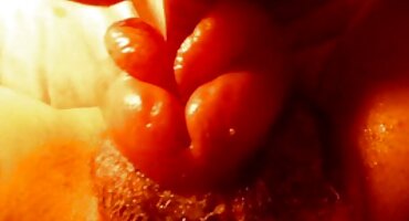 লেডি সোনিয়া