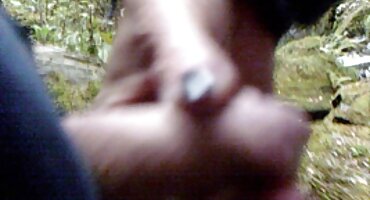 বেইলি ব্রুকস