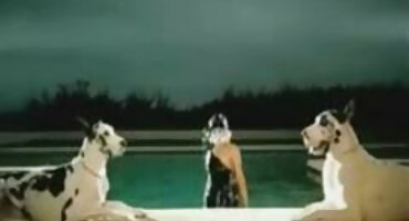 লাজুক তরুণী পর্ণ কাস্টিং এ সব বাঁড়া সেক্সি বিএফ চুষে